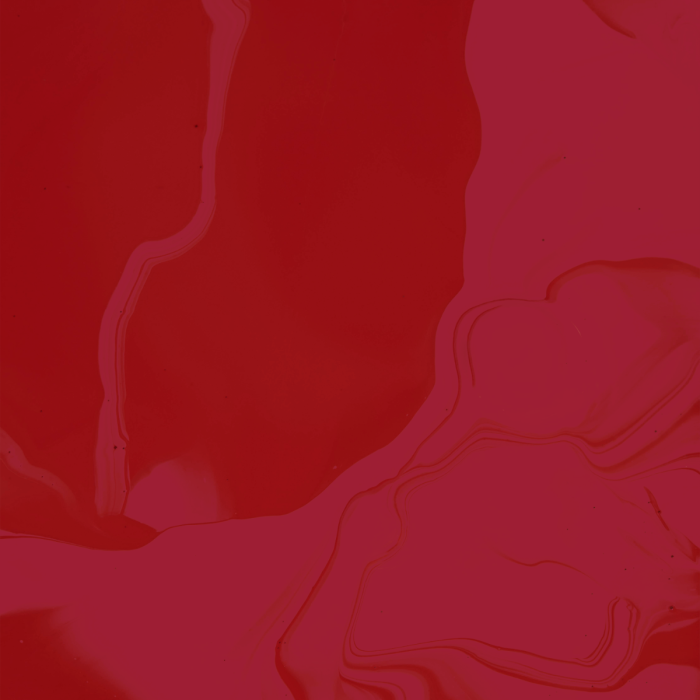 LUXE Berry Lip Mini Set - Perma Blend