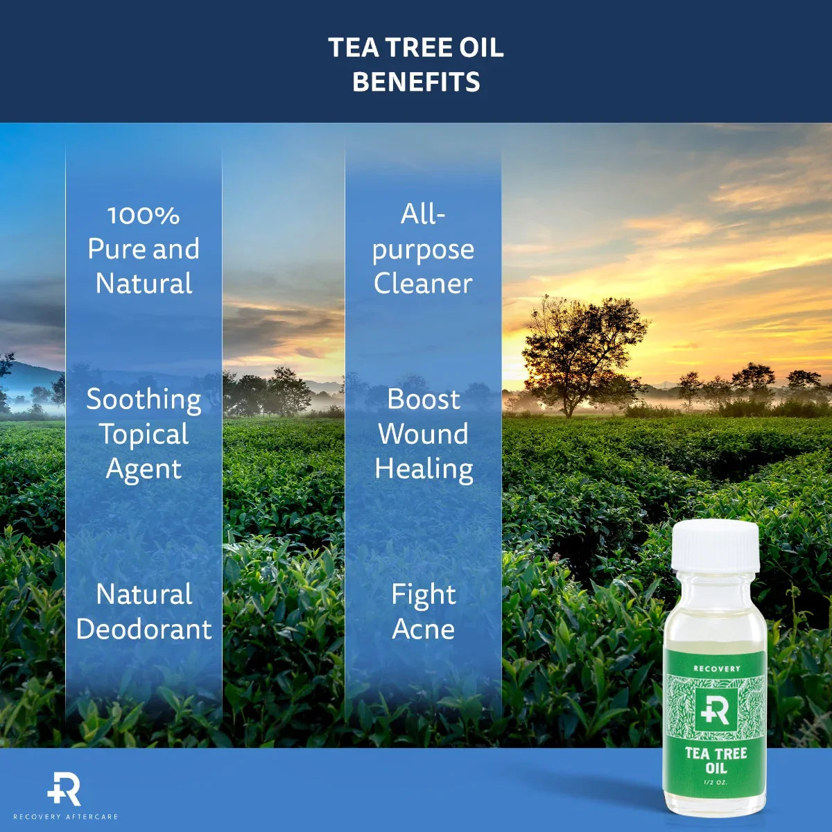 Recovery Aftercare Sea Salt and Tea Tree Oil Combo — Piercing Aftercare System - Painful Pleasures