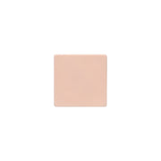 A Pound of Flesh Flat Canvas — 5" x 5" — Single or Pack