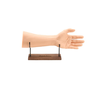 APOF Arm Display Stand - Ultimate Tattoo Supply