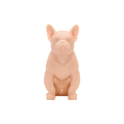 A Pound of Flesh Tattooable French Bulldog