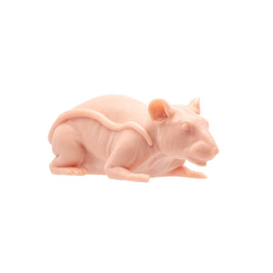 A Pound of Flesh Tattooable Naked Rat - Ultimate Tattoo Supply