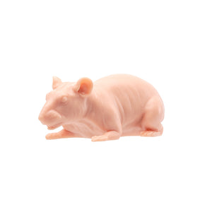 A Pound of Flesh Tattooable Naked Rat - Ultimate Tattoo Supply