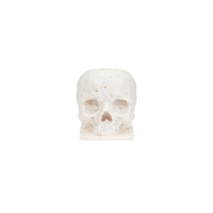Saferly Skull ECO Ink Caps — Size #16 (Large) — Bag of 200 - Ultimate Tattoo Supply