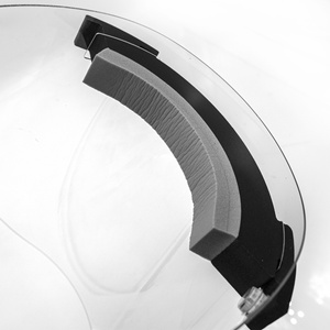 Face Shield