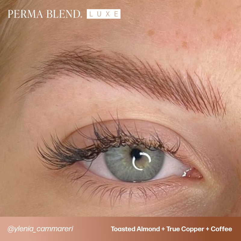 LUXE Light to Dark Brows Mini Set - Perma Blend