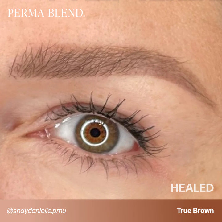 Sun-Kissed Palette Set — Perma Blend — 1/2oz - Ultimate Tattoo Supply