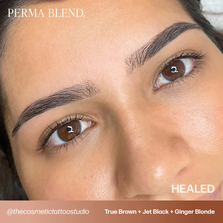 Sun-Kissed Palette Set — Perma Blend — 1/2oz - Ultimate Tattoo Supply