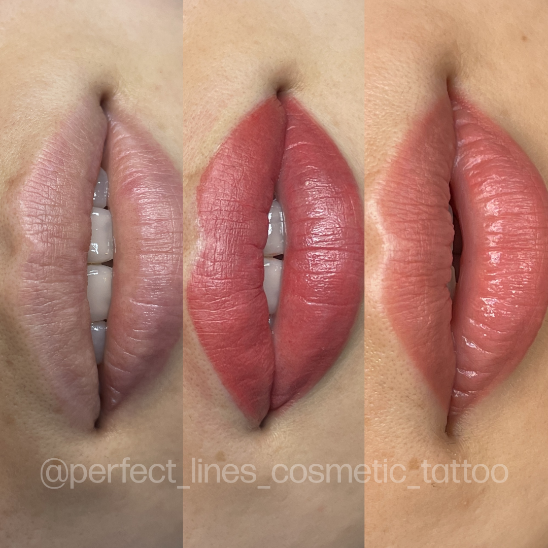 Evenflo Bare — Lip Set Single — 1/2oz