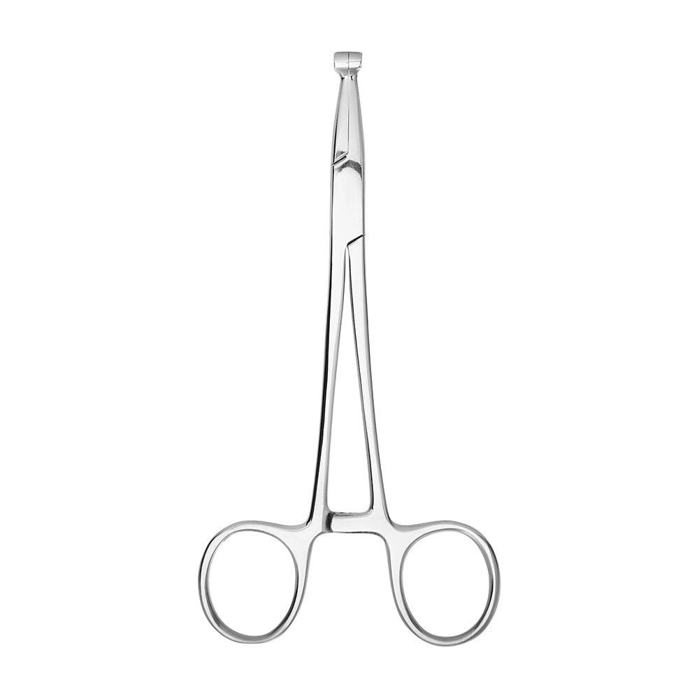 6” Steel Septum Piercing Forceps - Style #3 3
