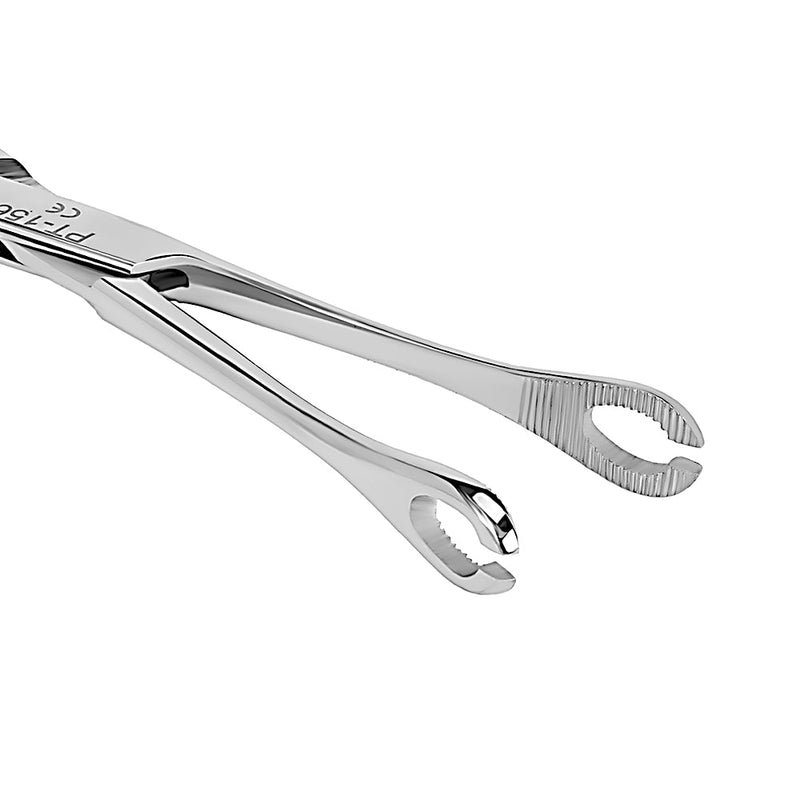 Mini Forester (Sponge) 6.5" Slotted Steel Forceps with 2 Indents and No Lock - Painful Pleasures