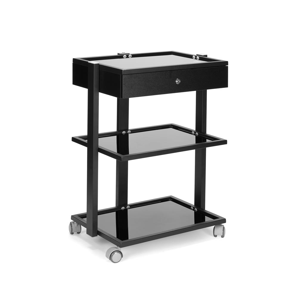 Fellowship Locking Cabinet for Rolling Cart — Black - Ultimate Tattoo Supply