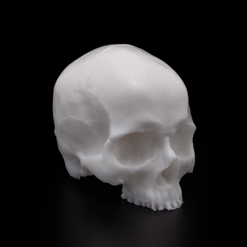 A Pound of Flesh Tattooable Synthetic Yorick Skull — Pick Color - Ultimate Tattoo Supply