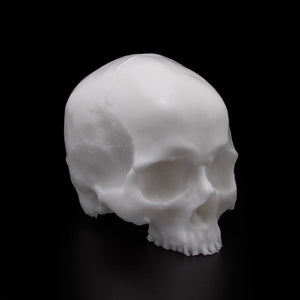 A Pound of Flesh Tattooable Synthetic Yorick Skull — Pick Color - Ultimate Tattoo Supply