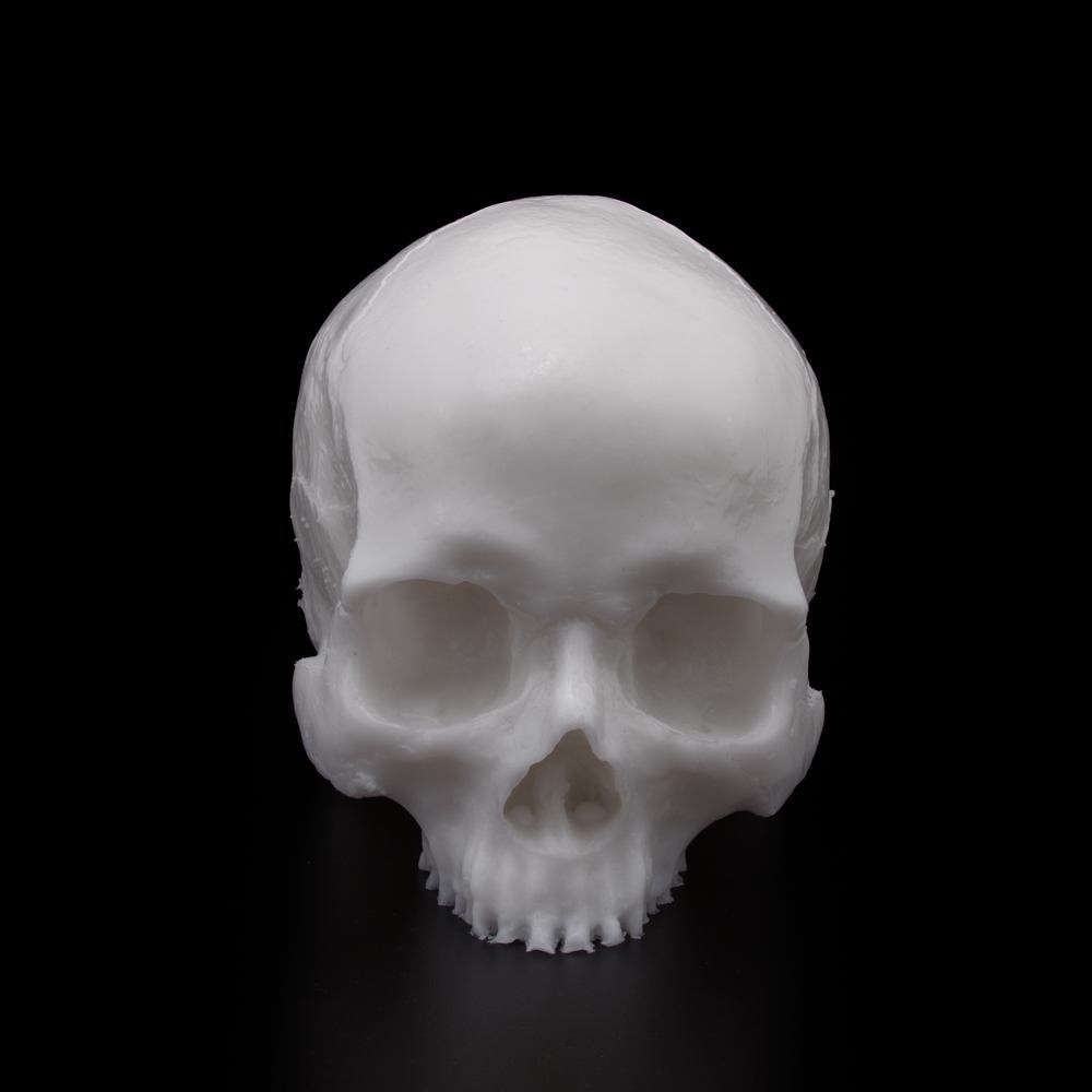 A Pound of Flesh Tattooable Synthetic Yorick Skull — Pick Color - Ultimate Tattoo Supply