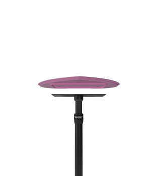 Ghost Tattoo Heart Tray (Tray Only) - Ultimate Tattoo Supply