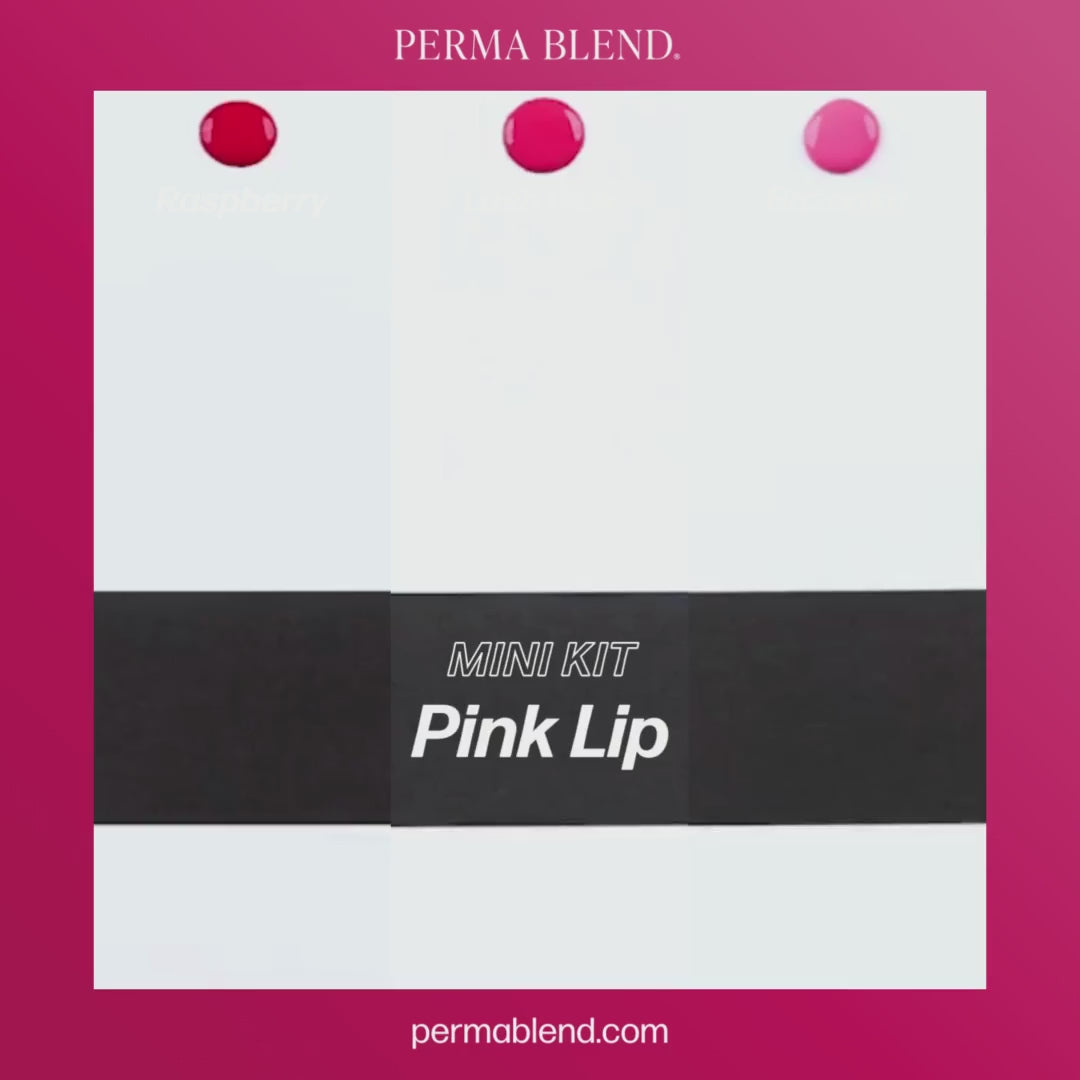 Video Perma Blend – Pink Lip Mini Set