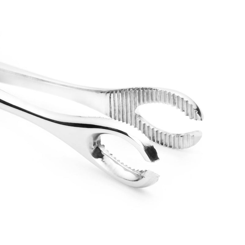 Forester (Sponge) 7” Slotted Steel Forceps - Painful Pleasures