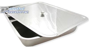 Stainless Steel Medical Tray with Cover for Tattoos and Piercings - Painful Pleasures