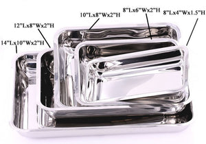 Stainless Steel Medical Tray with Cover for Tattoos and Piercings - Painful Pleasures