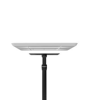 Ghost Tattoo Demon Tray (Tray Only) - Ultimate Tattoo Supply