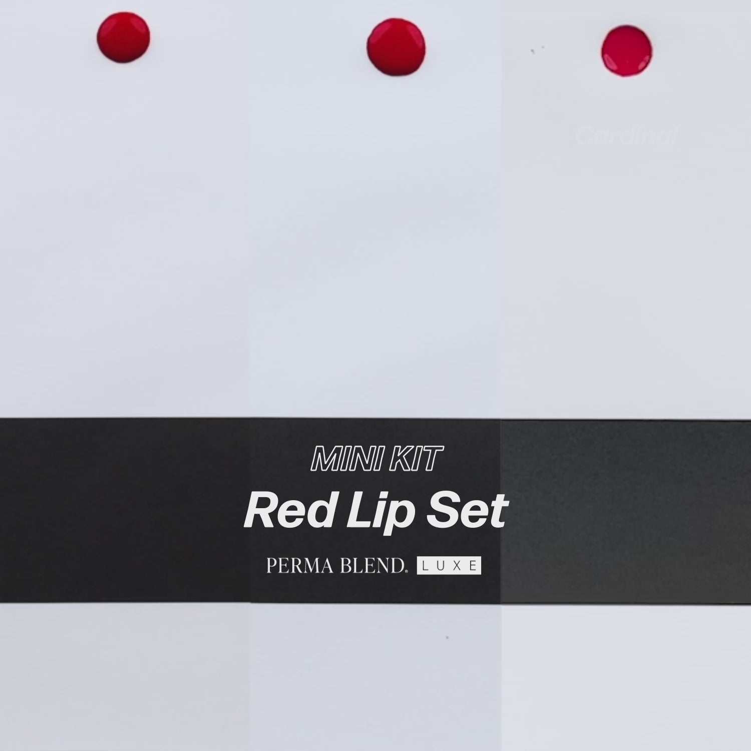 Video Red Lip Mini Set — Perma Blend Luxe — 3 1/2oz Bottles