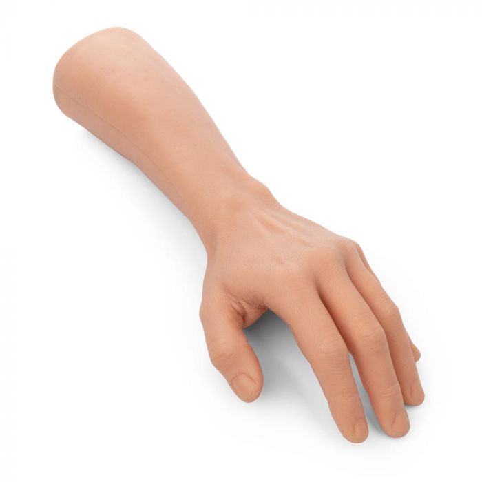 Light-toned lower arm and hand tattooable flesh on a white background. 