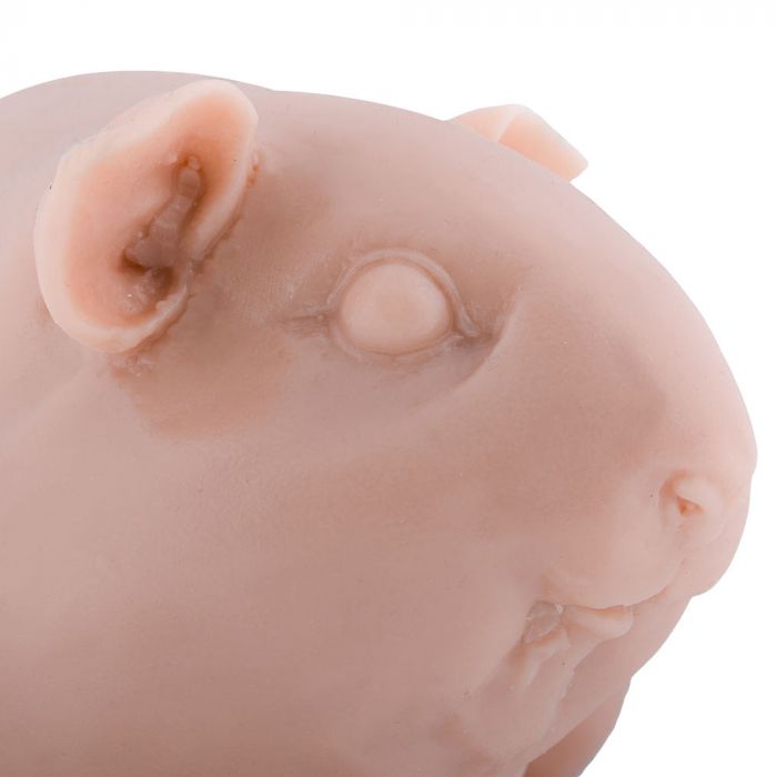 A Pound of Flesh Tattooable Synthetic Guinea Pig - Ultimate Tattoo Supply