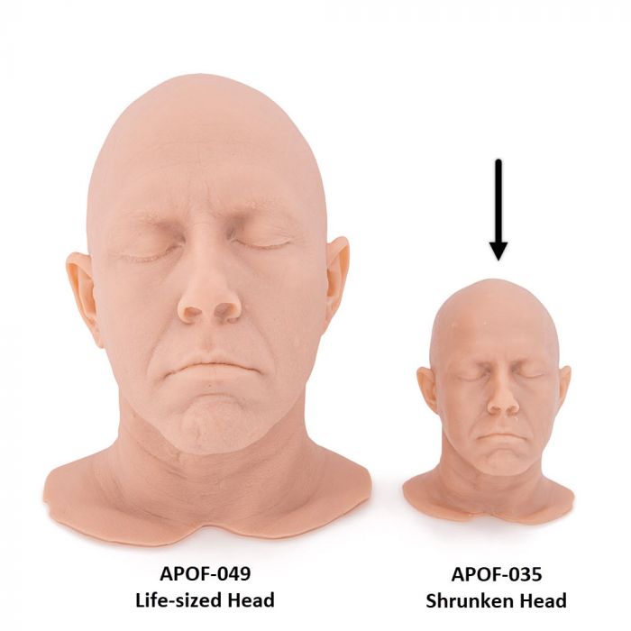 Life-sized and shrunken light-toned tattooable flesh in the shape of a man's head and neck on a white background. The head is forward-facing.