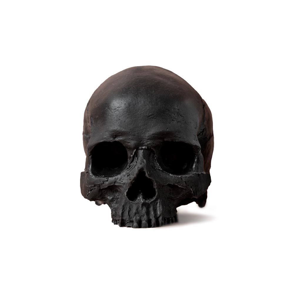 A Pound of Flesh Tattooable Synthetic Yorick Skull — Pick Color - Ultimate Tattoo Supply
