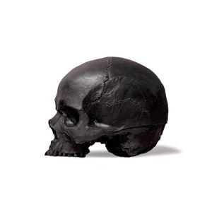 A Pound of Flesh Tattooable Synthetic Yorick Skull — Pick Color - Ultimate Tattoo Supply
